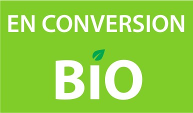En conversion